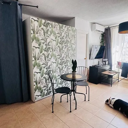 Estudio Amplio En El Corazon De Torremolinos